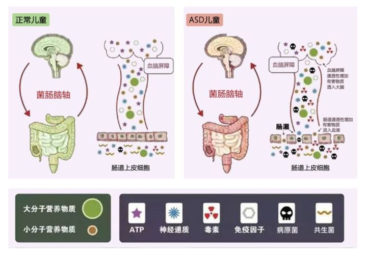 沈阳六一儿童医院菌群移植——自闭症群体的治疗新选择