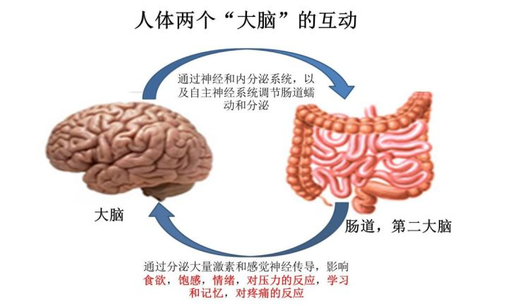 沈阳六一儿童医院菌群移植——自闭症群体的治疗新选择